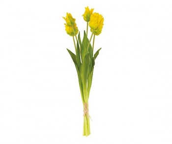 MAZZO 5 TULIPANI GIALLI...