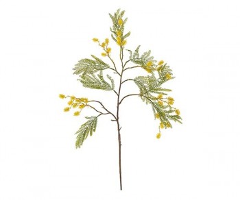 RAMO MIMOSA h730 (Quant....