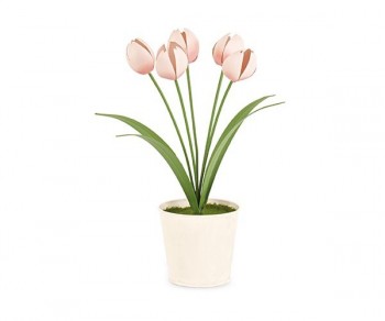 VASO C/5 TULIPANI ROSA h225...