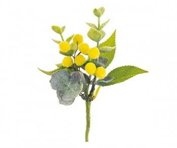 PICK C/MIMOSA h140 (Quant....