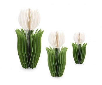 S/3 TULIPANI BIANCHI...