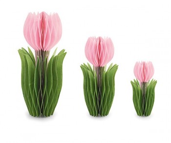 S/3 TULIPANI ROSA...