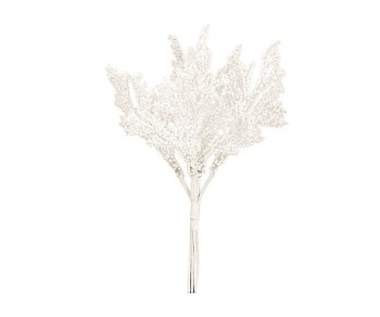 MAZZETTO 6 CORALLI BIANCHI...