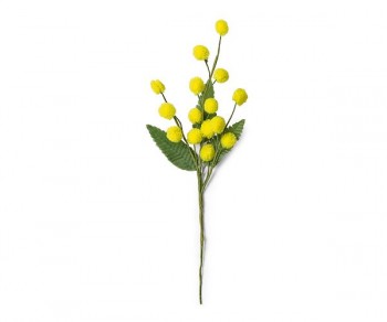 MIMOSA h190 (Quant. Minima...