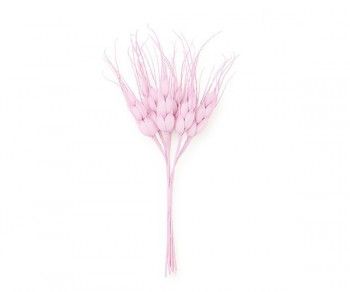 MAZZ.6 SPIGHE ROSA H.140...