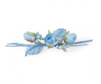 MINI SORRISO ROSE AZZURRE...