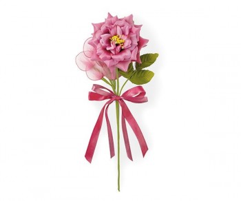 ROSA SELVATICA C/5...