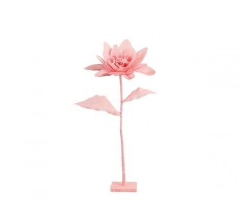 NINFEA ROSA CON STELO...