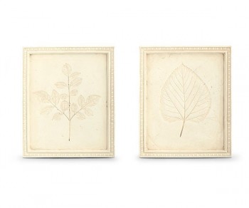 QUADRO BOTANICO AVORIO...