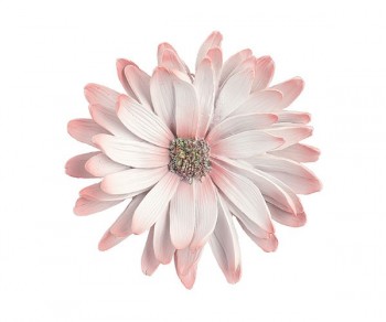 GERBERA ROSA DA APPENDERE...
