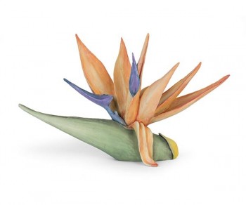 STRELITZIA RESINA 320x190...