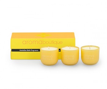 SC.3 CANDELE PASSIONFRUIT...