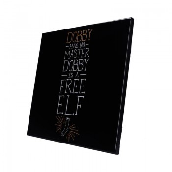 Harry Potter - Dobby is a...