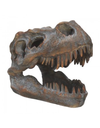 Tyrannosaurus Rex Skull...