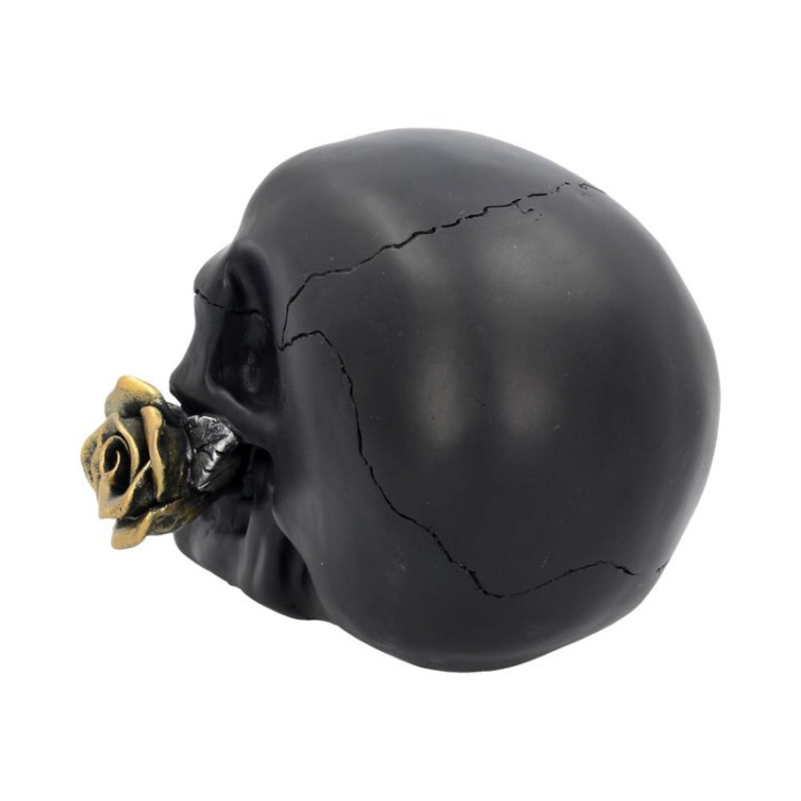 Black Rose from the Dead
