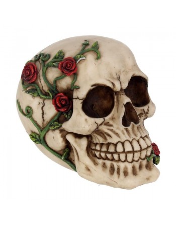 Rose From Beyond 15cm