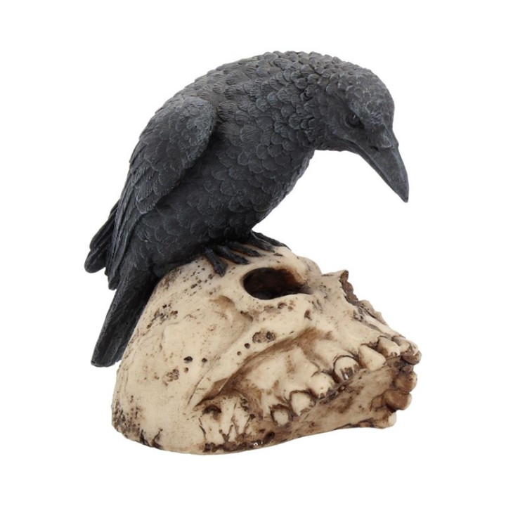 Ravens Remains 13cm