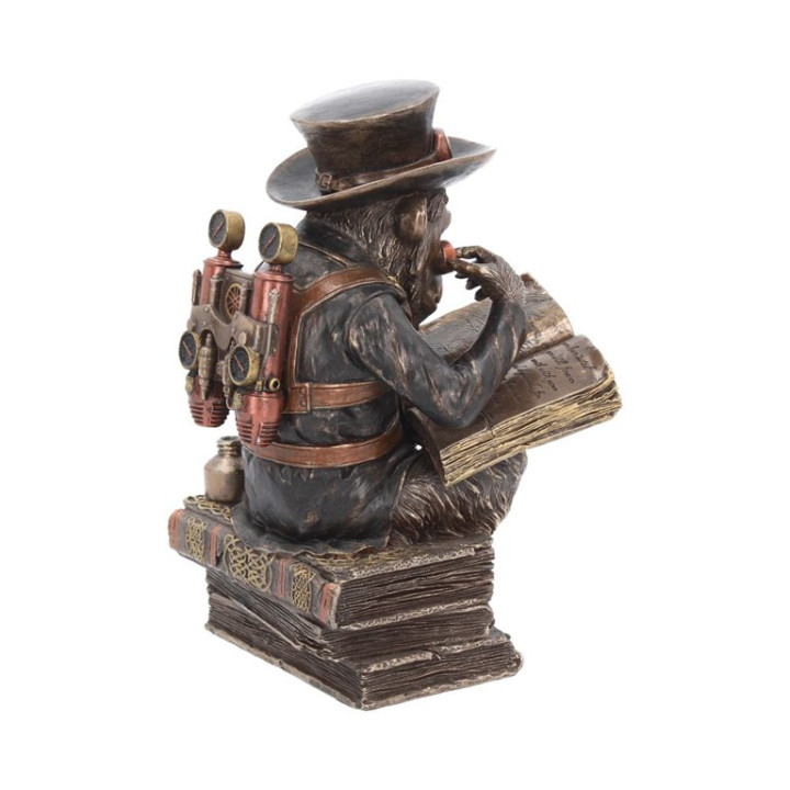 Chimpanzee Scholar 19,5cm
