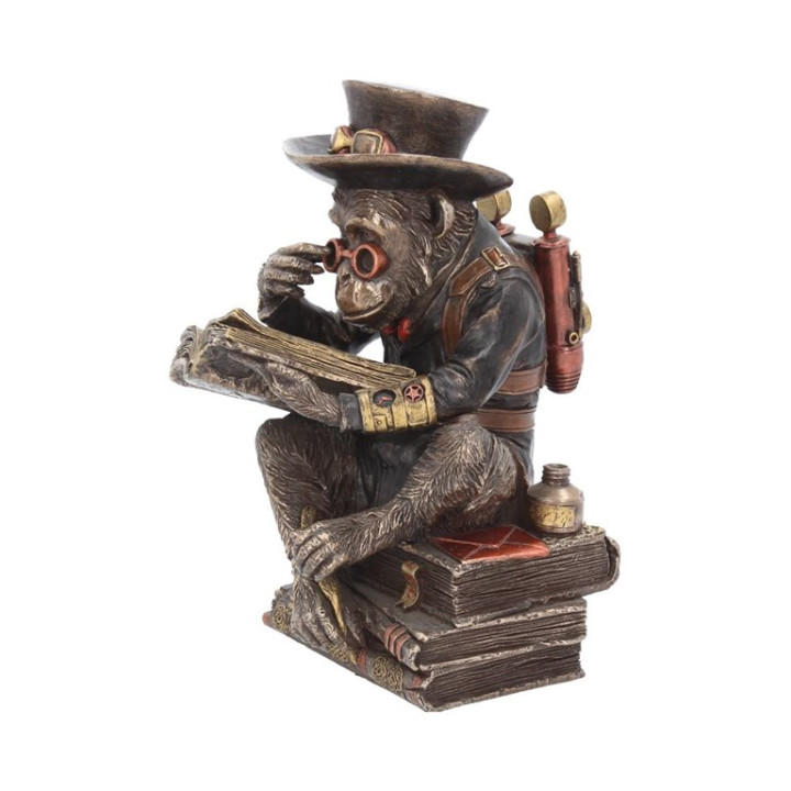 Chimpanzee Scholar 19,5cm