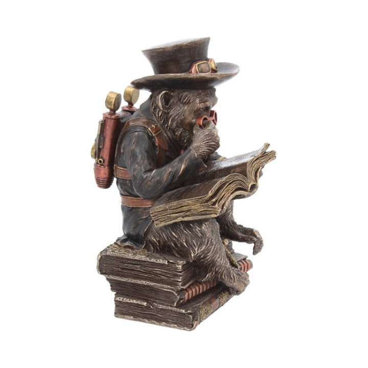 Chimpanzee Scholar 19,5cm