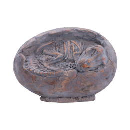 Tyrannosaurus Rex Egg