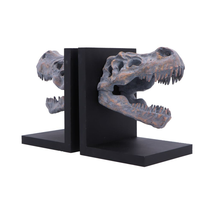Tyrannosaurus Rex Skull B