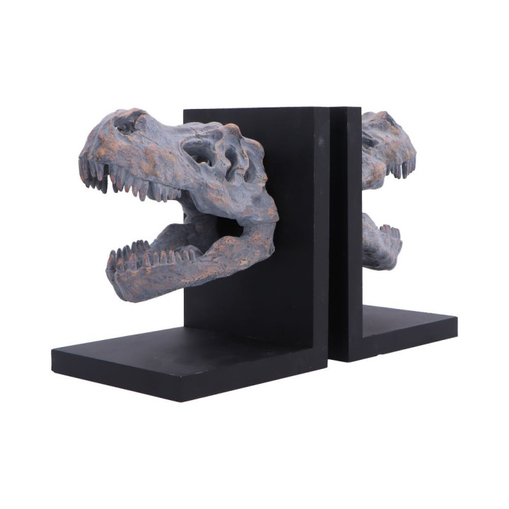 Tyrannosaurus Rex Skull B