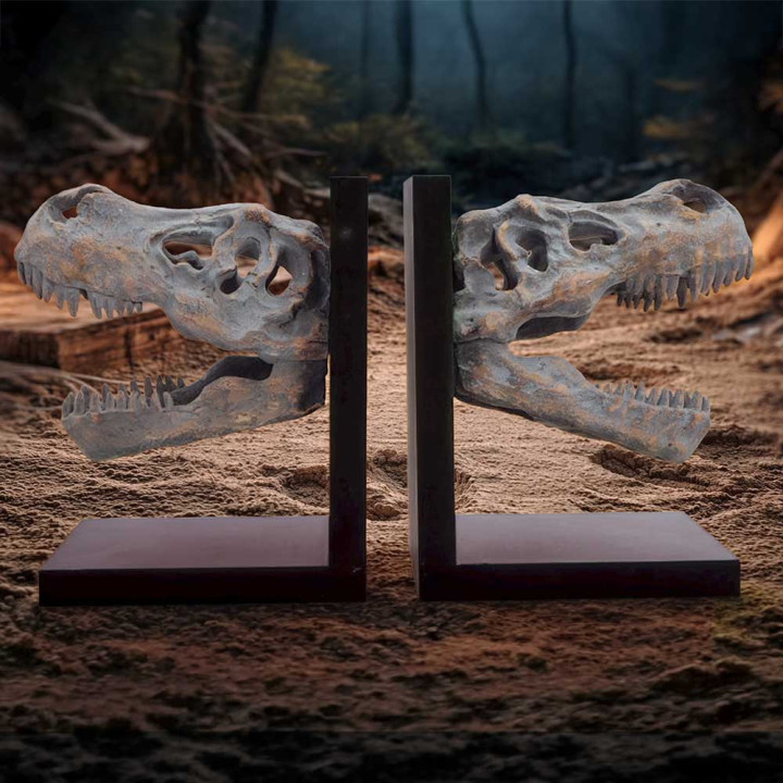 Tyrannosaurus Rex Skull B