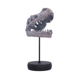 Tyrannosaurus Rex Skull o
