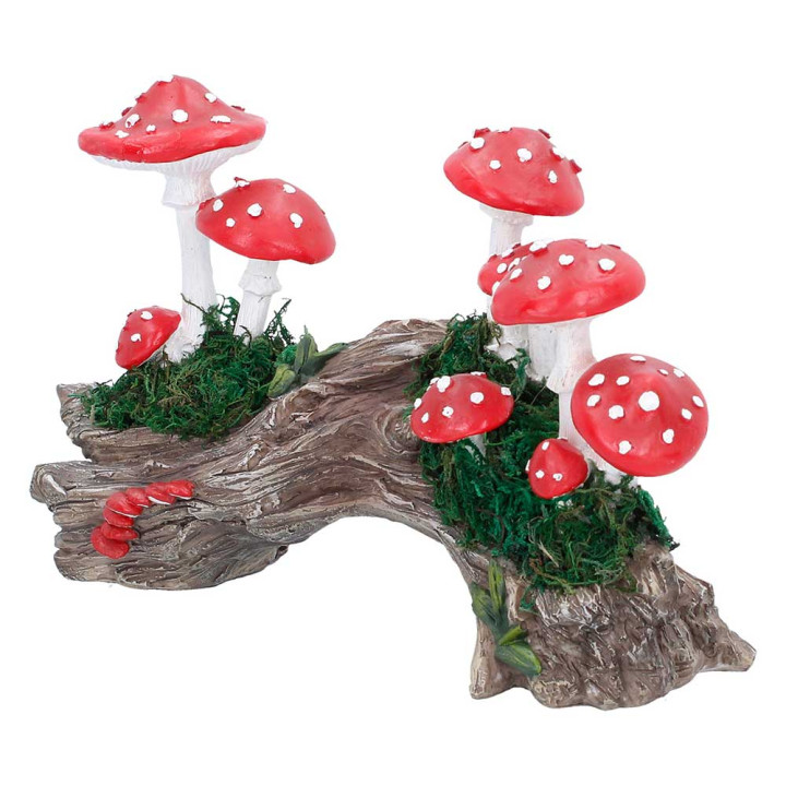 Toadstool Trunk 23.7cm