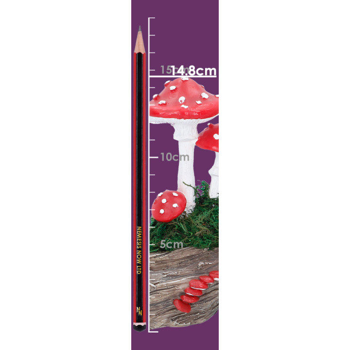 Toadstool Trunk 23.7cm