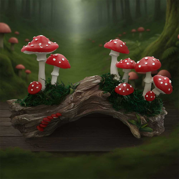 Toadstool Trunk 23.7cm