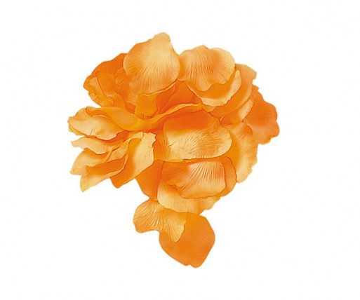 CONFEZIONE 288 PETALI TES