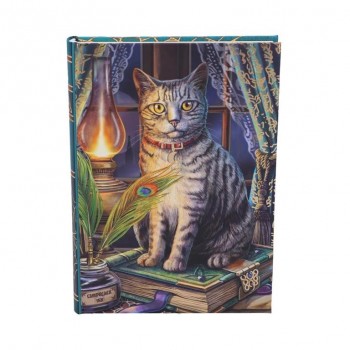 Book of Shadows Journal...