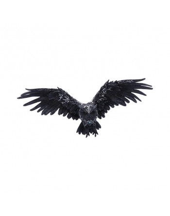 Dark Feather 55cm