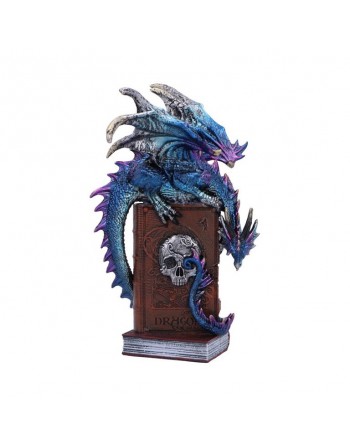 A Tale of Dragons 22cm