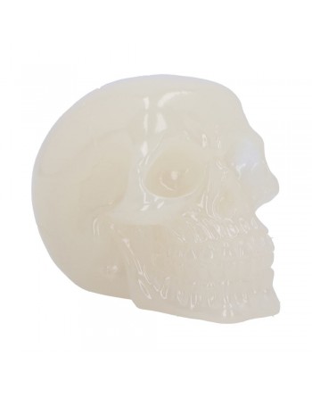 Phosphorescent 10.5cm (Small)