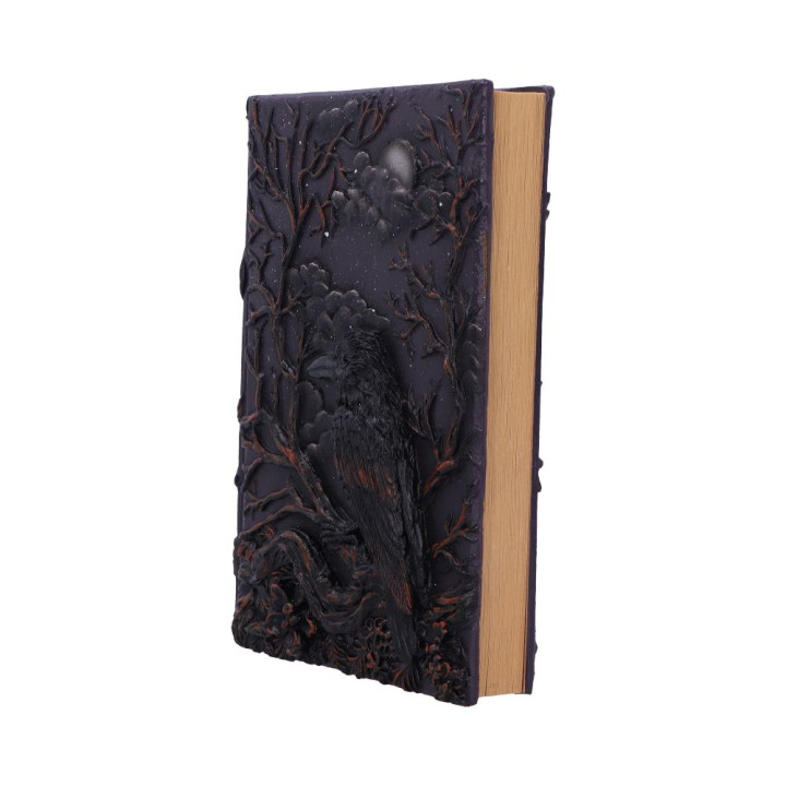 Ravens Grimoire Journal