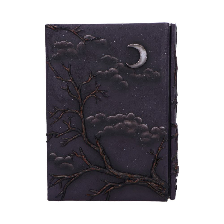 Ravens Grimoire Journal