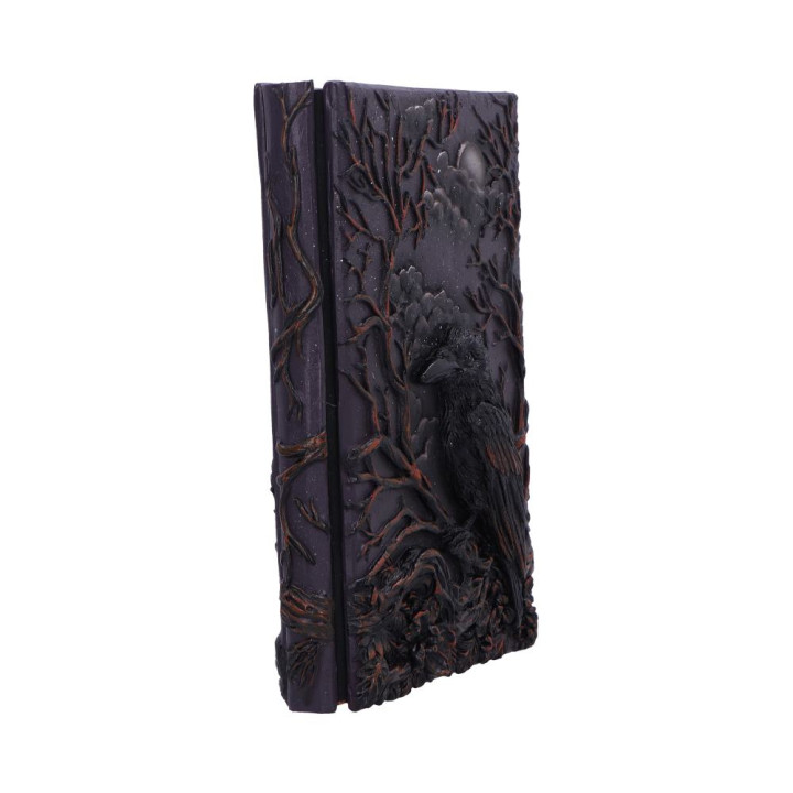 Ravens Grimoire Journal