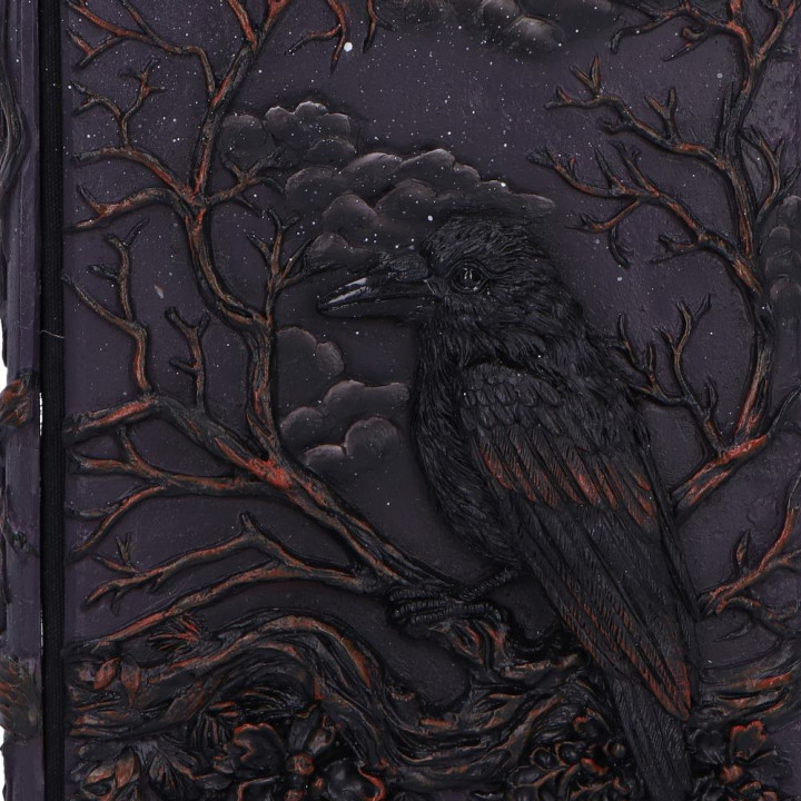 Ravens Grimoire Journal