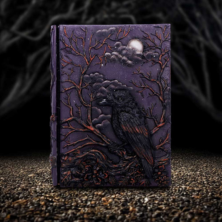 Ravens Grimoire Journal
