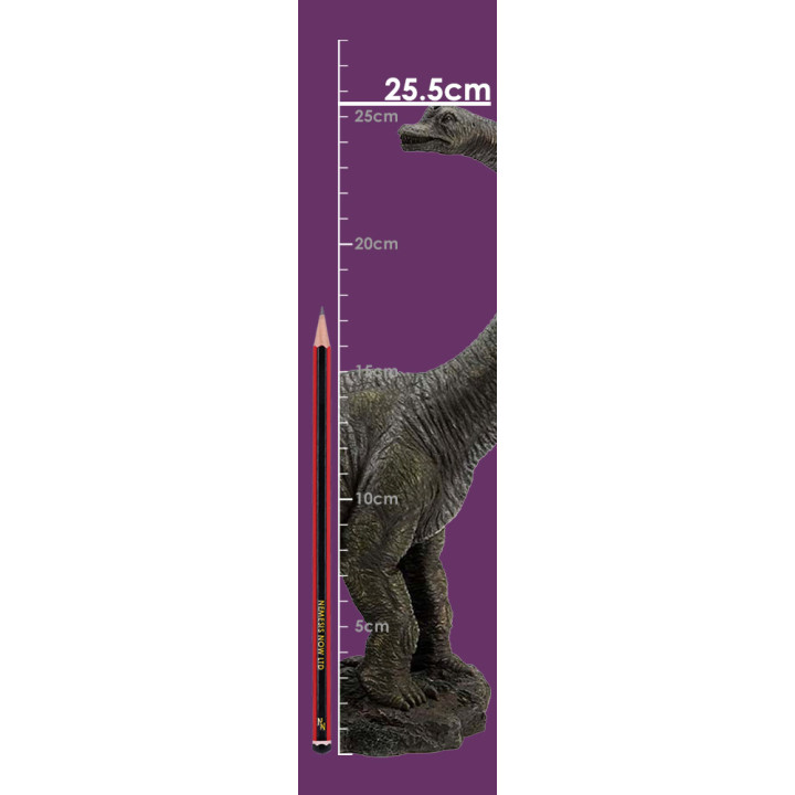 Brachiosaurus 25.5cm