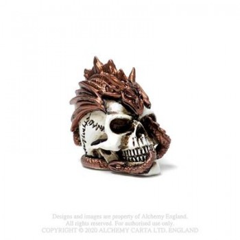 Dragon Keepers Skull:...