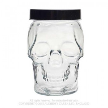 Skull Storage Jay