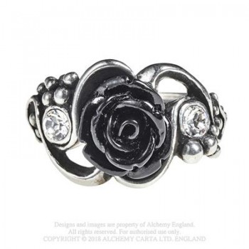 Bacchanal Rose