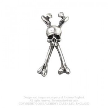 Long Bone