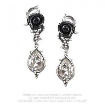 Bacchanal Rose