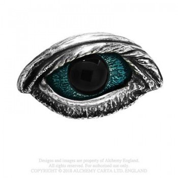 The Vulture's Eye