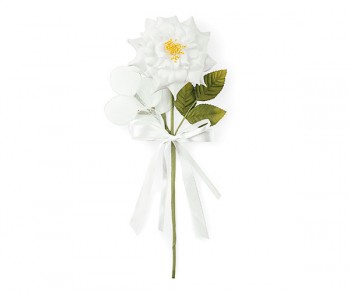 ROSA SELVATICA C/5 RACC.BIANCA